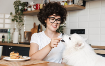 Descubra o que cachorro não pode comer e porquê